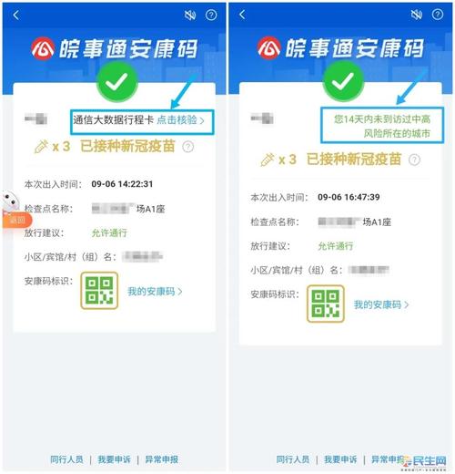 能否网页查健康码记录