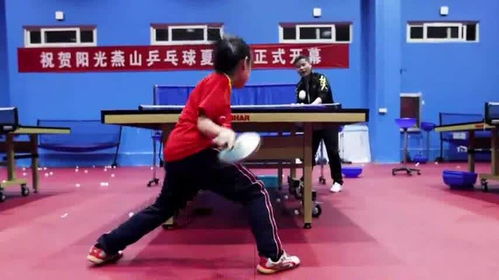 手抓乒乓球训练