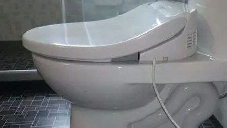 高尔夫球马桶刷