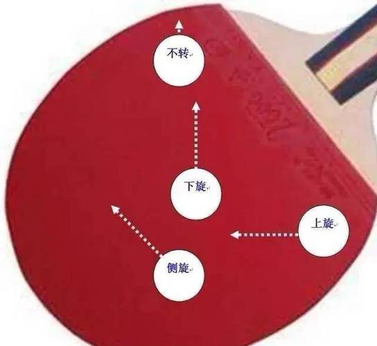 乒乓球发球蛇形球视频