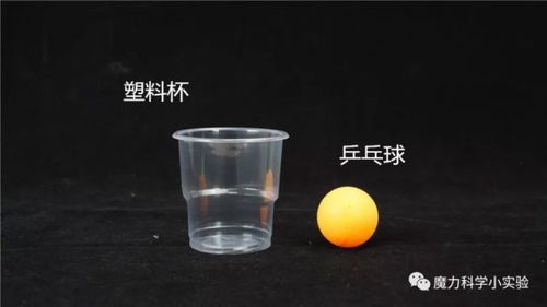 杯子抓乒乓球教案