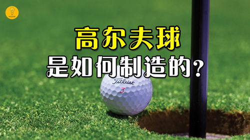 盐城哪里可以打高尔夫