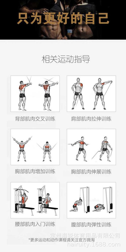 健美训练的最基本最重要的训练法则