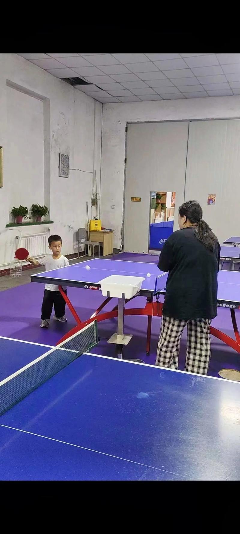 沈阳哪里有教乒乓球？