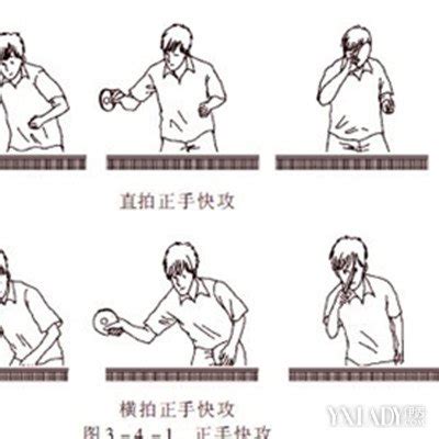 乒乓球挡球技术要点