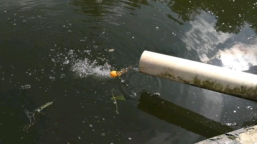 乒乓球为何不会被水流冲走?