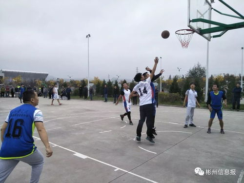 泾阳永乐乒乓球