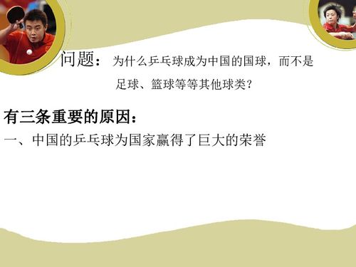 乒乓球奇遇记教案