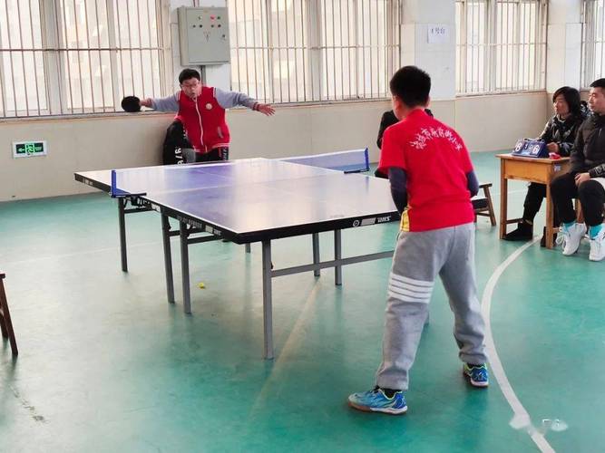 北京体育大学乒乓球学校