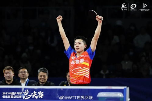 山东鲁能乒乓球俱乐部名单