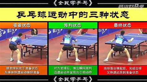 姿势与站位