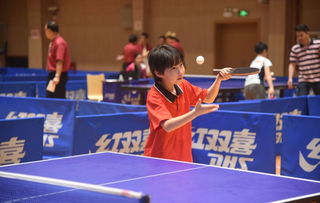 乒在民间乒乓球视频