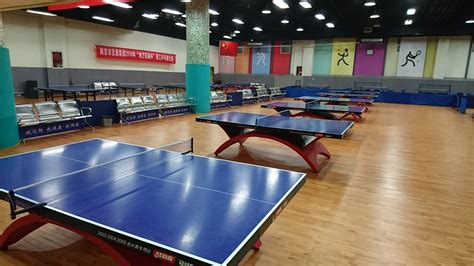 正定乒乓球训练基地