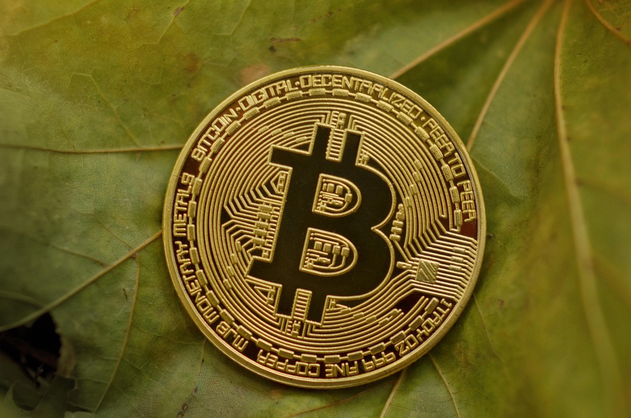 数字货币的崛起，从比特币到日常支付的革命